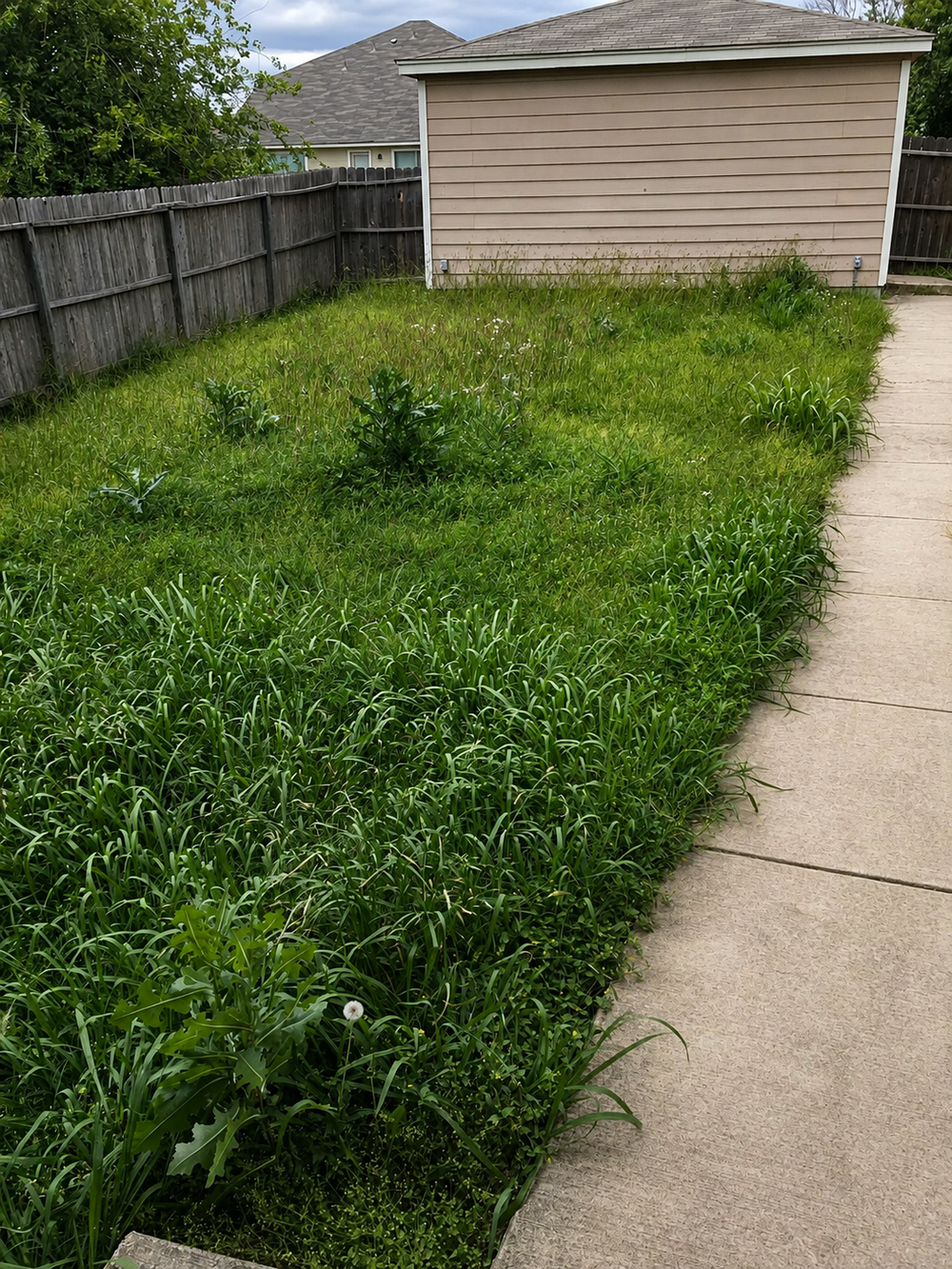 GrassWorks Before Cut